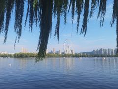 -济南国际园博园