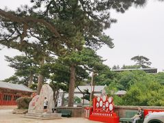 -妙峰山风景名胜区