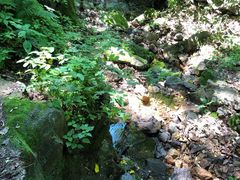 -天女山森林公园
