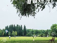-海淀公园