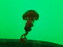 -沈阳海洋探索中心