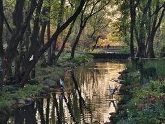 -上海共青森林公园