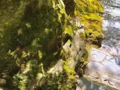 -尧治河旅游度假区