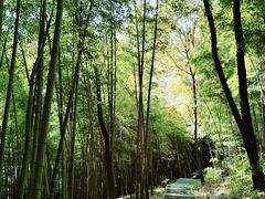 -穹窿山景区