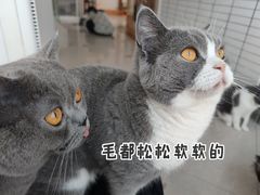 -Catmate·猫肥家润(金润铂宫店)
