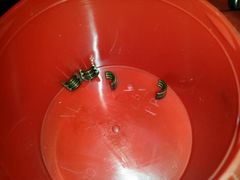 宝马烧机油维修方法-博睿通达汽车修理站