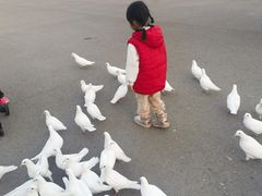 -泉城欧乐堡海洋极地世界
