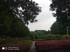 -白塘生态植物园