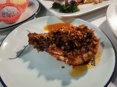 -云中小雅