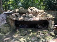 -海南热带野生动植物园