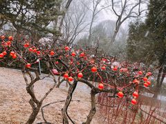 -南宫温泉水世界