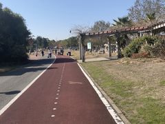 -瑶湖郊野森林公园