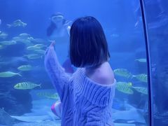 -左海海底世界
