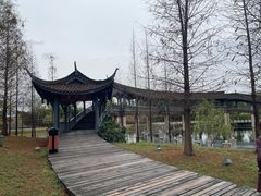 -眉山湿地公园(东坡区)