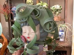 -Rabbit Cafe私房西餐甜点咖啡(栖霞路店)