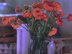 -循礼门鲜花花市(武汉循礼门店)