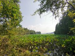 -东湖落雁景区