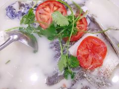 -全乐鱼馆·淳牌有机鱼直营店