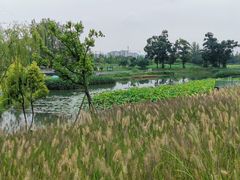 -两河城市森林公园