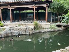 -春风习习