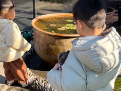 -九月里.自由花园餐厅
