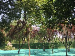 -堤角公园
