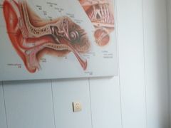 -自然之声助听器·呼吸机(兰考店)