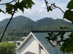-马灯部落·西湖边的创意山景餐厅(虎跑动物园店)