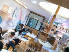 -滚猫咖啡·猫咖·猫友好撸猫(未来城店)