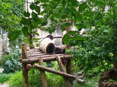 -西安秦岭野生动物园