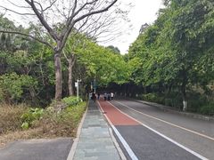 -水濂山森林公园