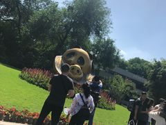 -都江堰中华大熊猫苑