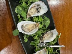 -12 Rocks Beach Bar Cafe