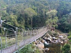 -海南热带雨林国家公园吊罗山景区