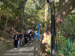 -灵顺寺