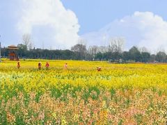 -三圣花乡旅游区