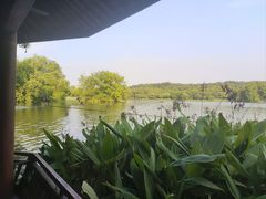 -茅家埠