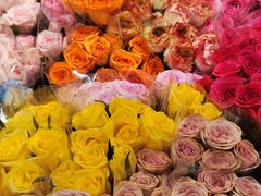 -循礼门鲜花花市(武汉循礼门店)