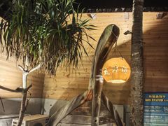 -这片海·海景餐厅(博鳌店)