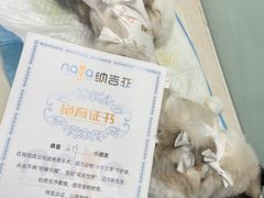 -纳吉亚猫专科动物医院博雅分院