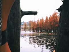 -白鹭湾湿地公园