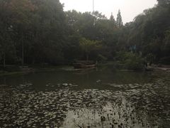 -赭山公园