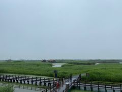 -宁波杭州湾国家湿地公园