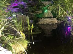 -聚缘·湘味音乐餐厅party(罗湖店)