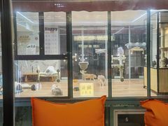 -鞠橘居酒屋(仁恒江湾新天地店)