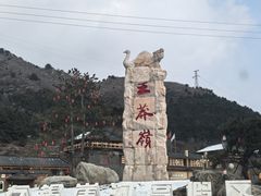 -王莽岭风景区