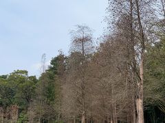 -广州市白云山风景名胜区