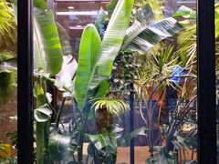 -Soloist 独奏公司(798店)