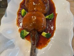 -丁老爷子苏香圆