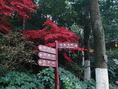 -岳麓山风景名胜区